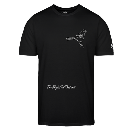 TSINTL Under Armour Men's Athletic T-Shirt - black